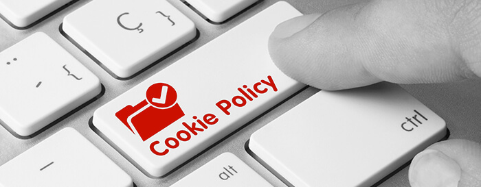 Cookies e strumenti di tracciamento: disposizioni normative e linee guida del Garante della Privacy