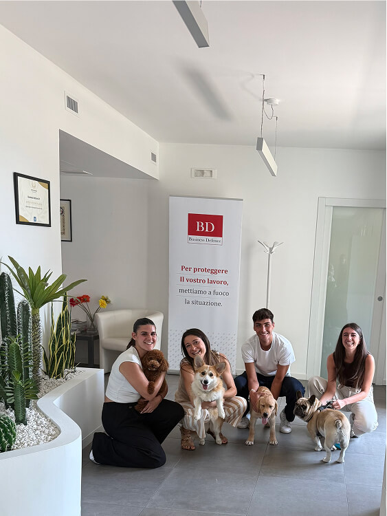 Pet Day Business Defence