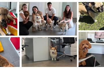 Pet Day Business Defence